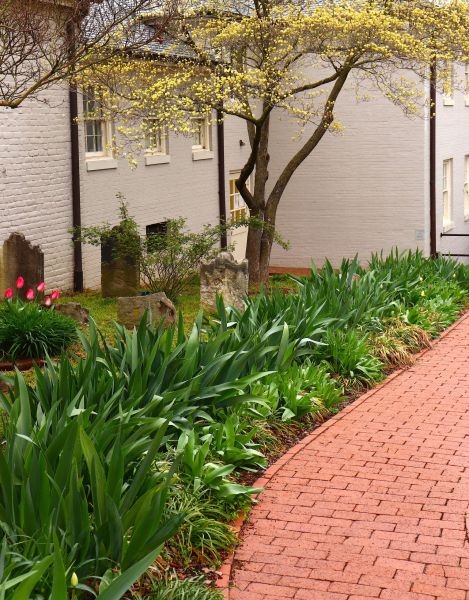 Brick Flatwork Repair in Bellevue